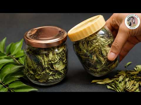 How to Preserve Curry Leaves 🌿 | Keep Curry Patta Fresh for Months | Easy Kitchen Storage Hack